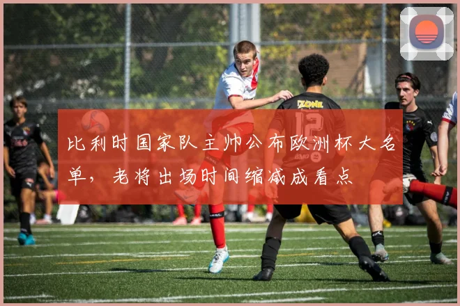 比利时国家队主帅公布欧洲杯大名单，老将出场时间缩减成看点